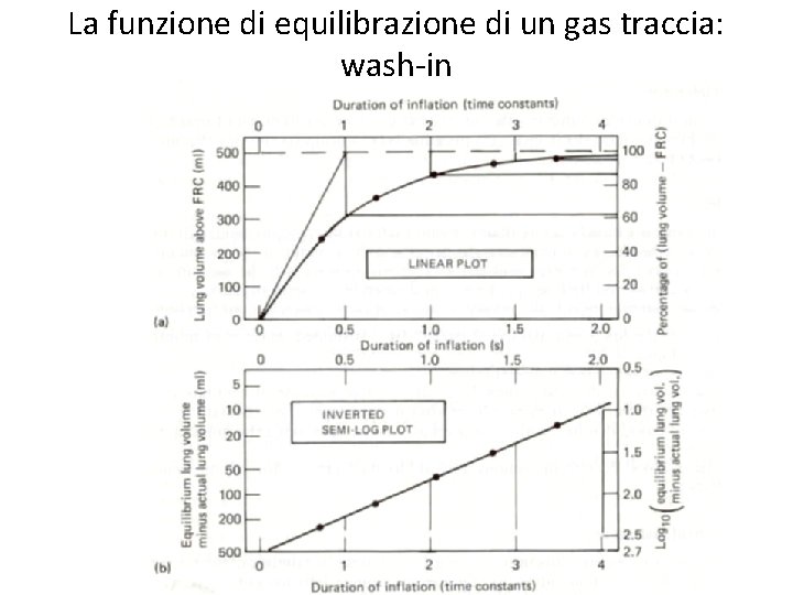 La funzione di equilibrazione di un gas traccia: wash-in 