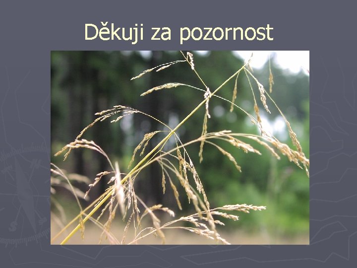 Děkuji za pozornost 