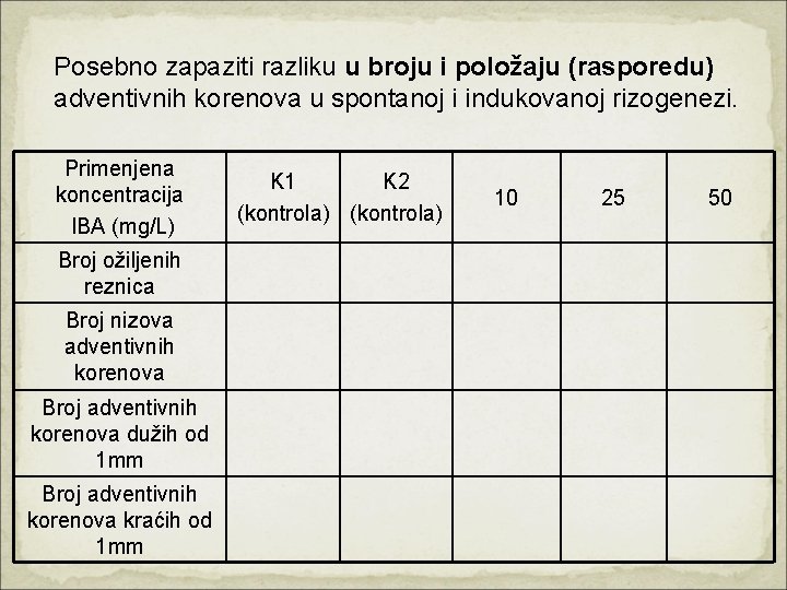 Posebno zapaziti razliku u broju i položaju (rasporedu) adventivnih korenova u spontanoj i indukovanoj