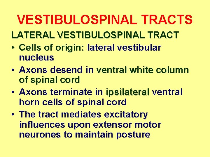 VESTIBULOSPINAL TRACTS LATERAL VESTIBULOSPINAL TRACT • Cells of origin: lateral vestibular nucleus • Axons