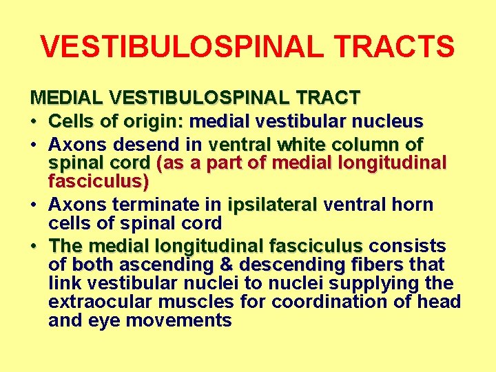 VESTIBULOSPINAL TRACTS MEDIAL VESTIBULOSPINAL TRACT • Cells of origin: medial vestibular nucleus • Axons