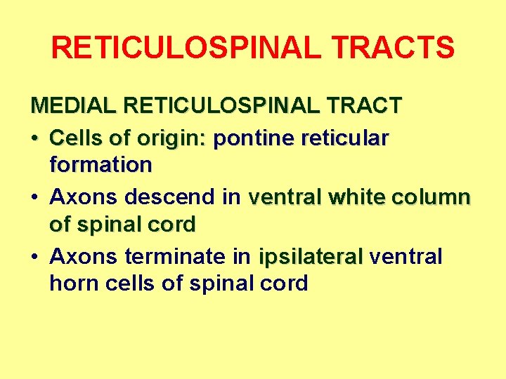 RETICULOSPINAL TRACTS MEDIAL RETICULOSPINAL TRACT • Cells of origin: pontine reticular formation • Axons