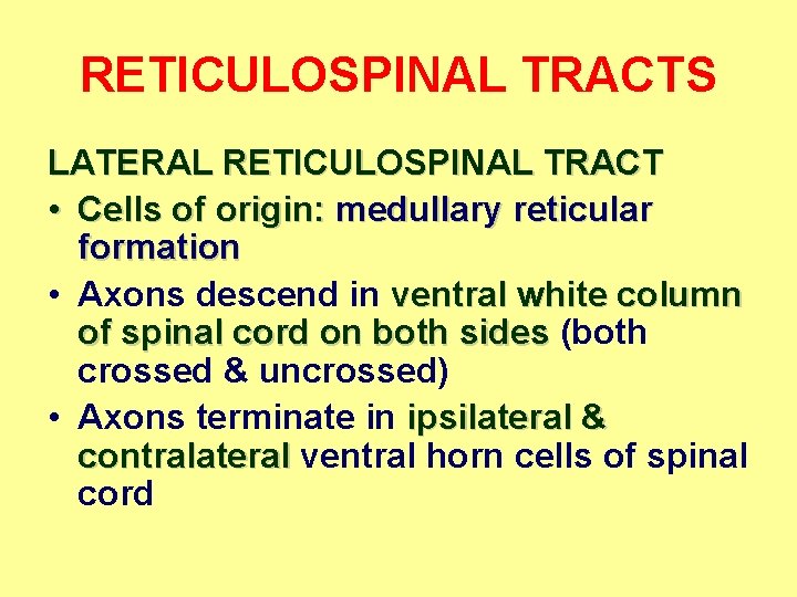 RETICULOSPINAL TRACTS LATERAL RETICULOSPINAL TRACT • Cells of origin: medullary reticular formation • Axons