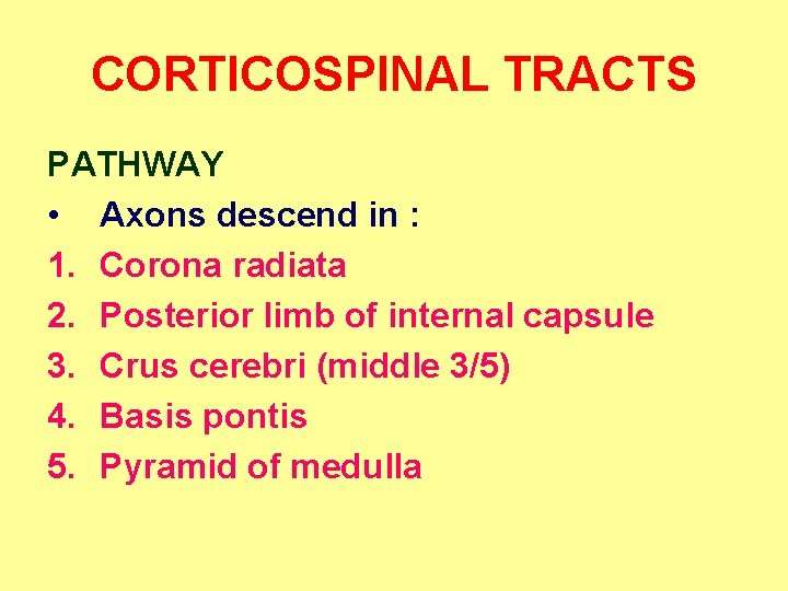 CORTICOSPINAL TRACTS PATHWAY • Axons descend in : 1. Corona radiata 2. Posterior limb