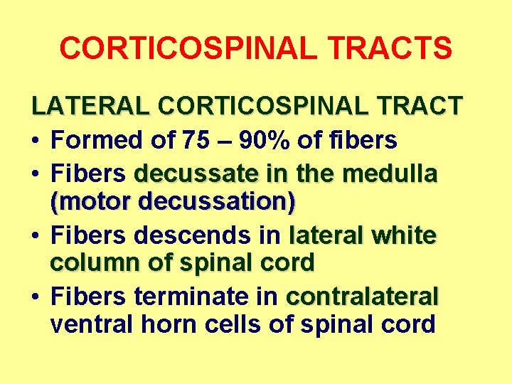 CORTICOSPINAL TRACTS LATERAL CORTICOSPINAL TRACT • Formed of 75 – 90% of fibers •