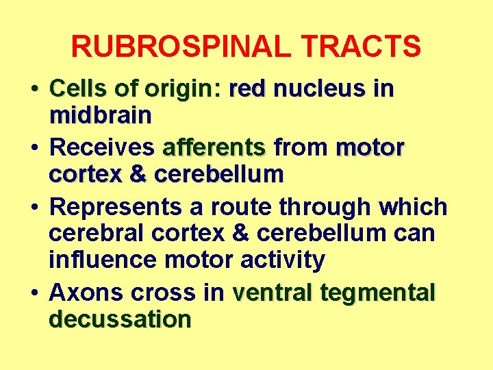 RUBROSPINAL TRACTS • Cells of origin: red nucleus in midbrain • Receives afferents from