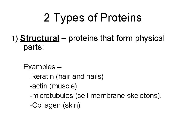 2 Types of Proteins 1) Structural – proteins that form physical parts: Examples –