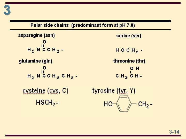 3 Polar side chains (predominant form at p. H 7. 0) asparagine (asn) O