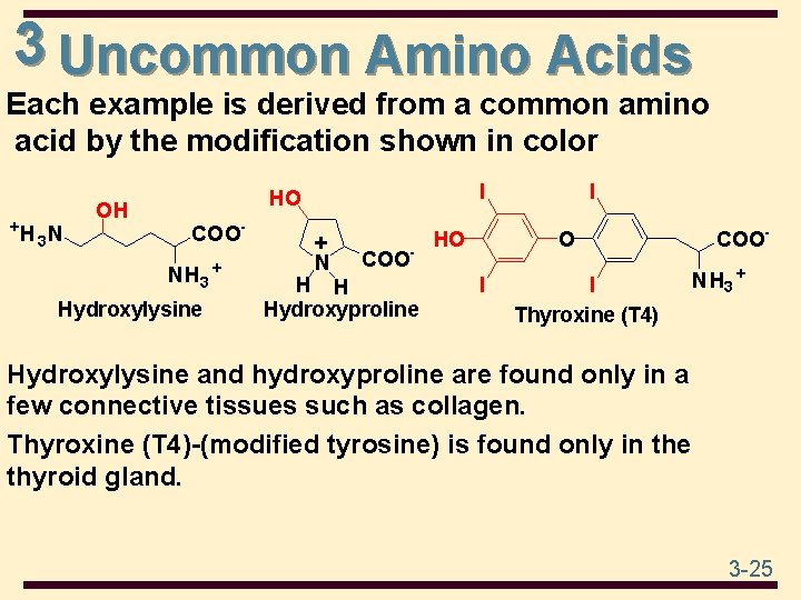 3 Uncommon Amino Acids Each example is derived from a common amino acid by
