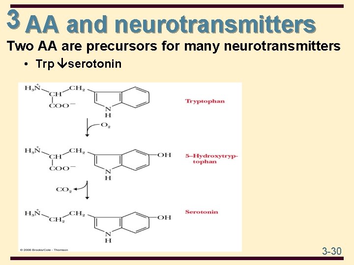 3 AA and neurotransmitters Two AA are precursors for many neurotransmitters • Trp serotonin