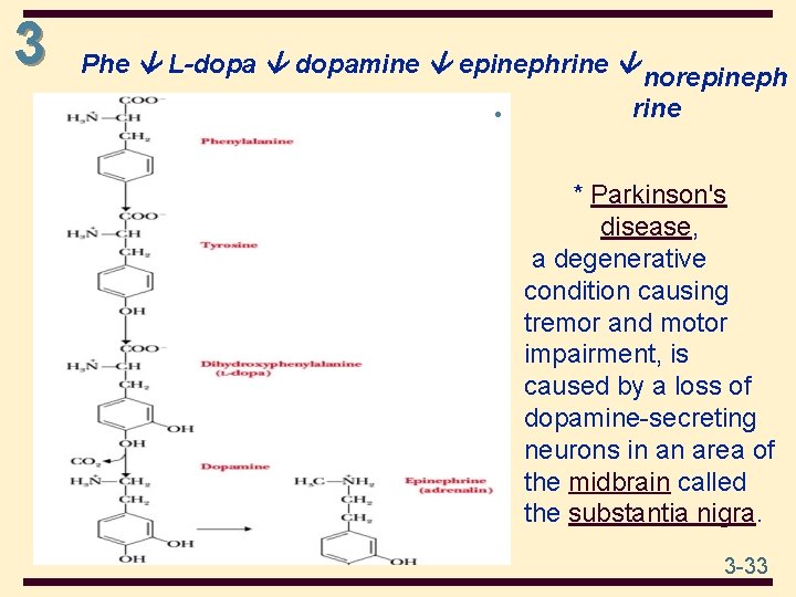 3 Phe L-dopa dopamine epinephrine norepineph • rine * Parkinson's disease, a degenerative condition
