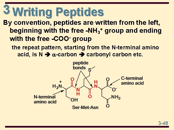 3 Writing Peptides By convention, peptides are written from the left, beginning with the