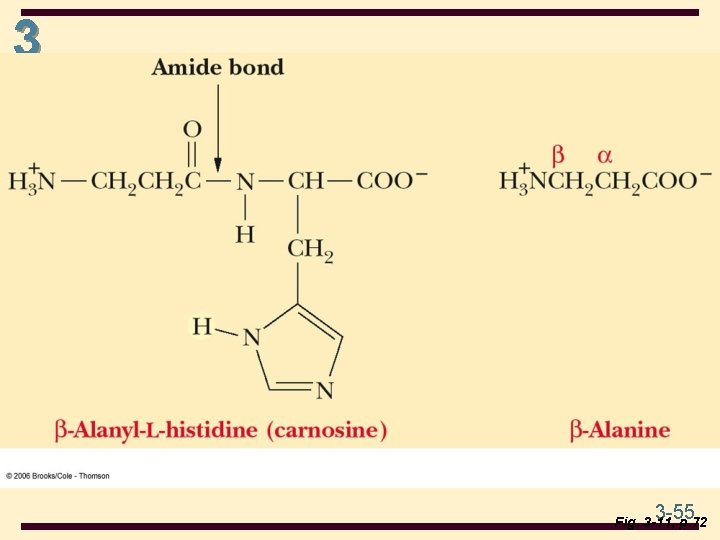3 3 -55 Fig. 3 -11, p. 72 