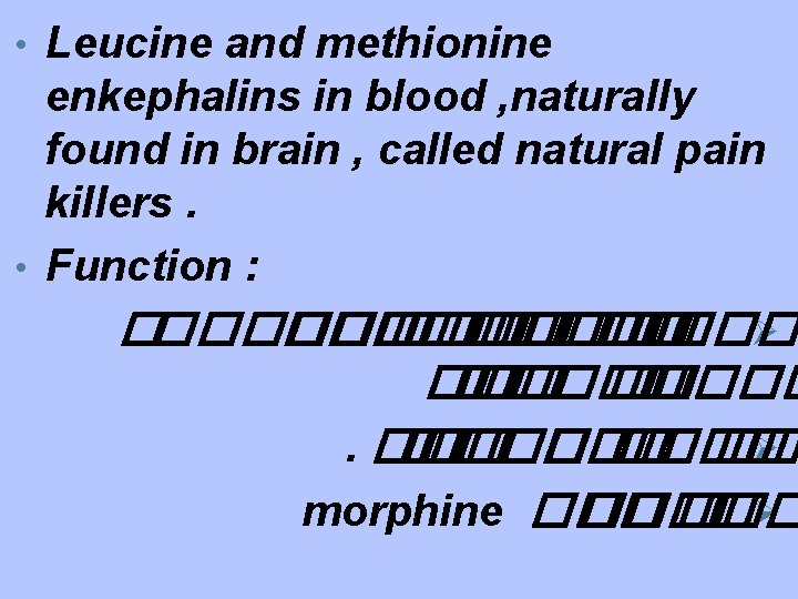  • Leucine and methionine enkephalins in blood , naturally found in brain ,