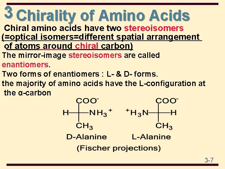 3 Chirality of Amino Acids Chiral amino acids have two stereoisomers (=optical isomers=different spatial