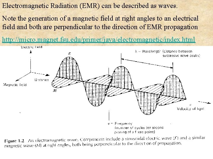 Electromagnetic Radiation (EMR) can be described as waves. Note the generation of a magnetic