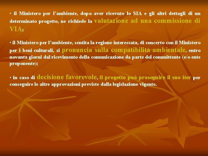  • il Ministero per l’ambiente, dopo aver ricevuto lo SIA e gli altri