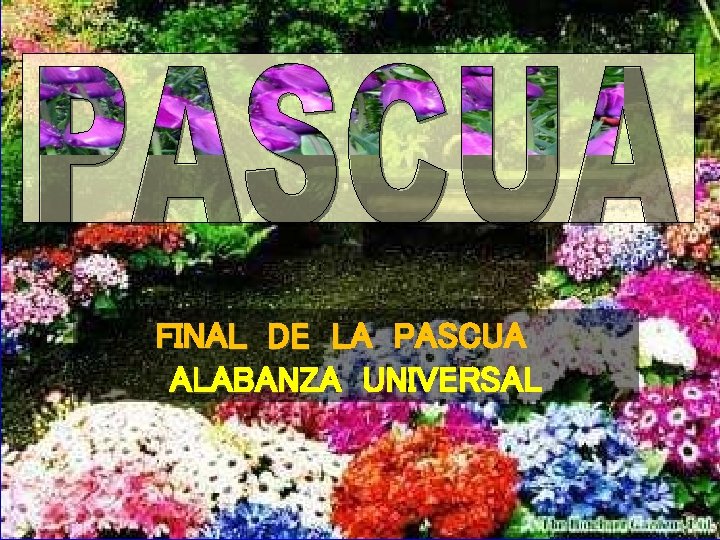 FINAL DE LA PASCUA ALABANZA UNIVERSAL 