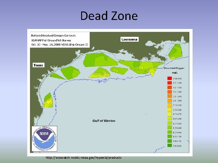 Dead Zone http: //ecowatch. ncddc. noaa. gov/hypoxia/products 