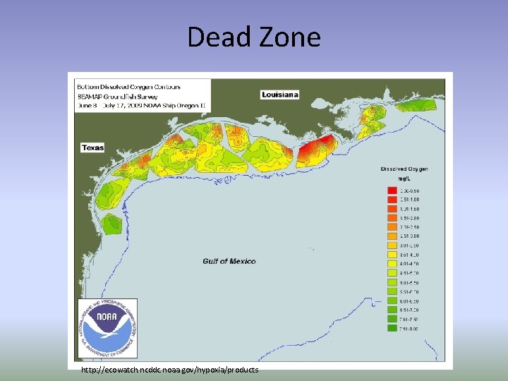 Dead Zone http: //ecowatch. ncddc. noaa. gov/hypoxia/products 