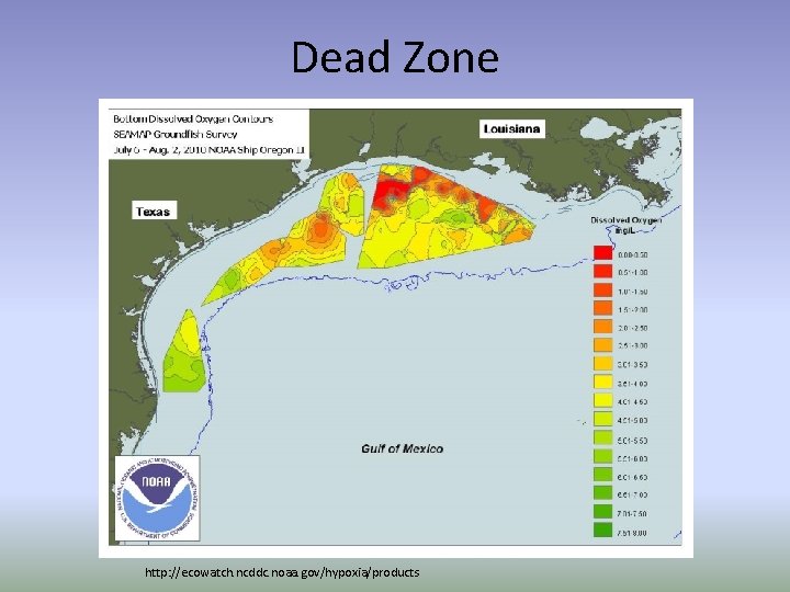 Dead Zone http: //ecowatch. ncddc. noaa. gov/hypoxia/products 