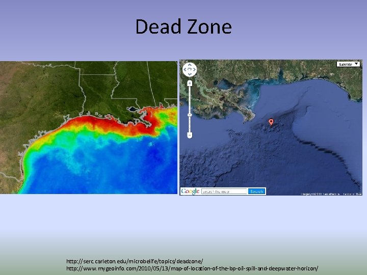 Dead Zone http: //serc. carleton. edu/microbelife/topics/deadzone/ http: //www. mygeoinfo. com/2010/05/13/map-of-location-of-the-bp-oil-spill-and-deepwater-horizon/ 