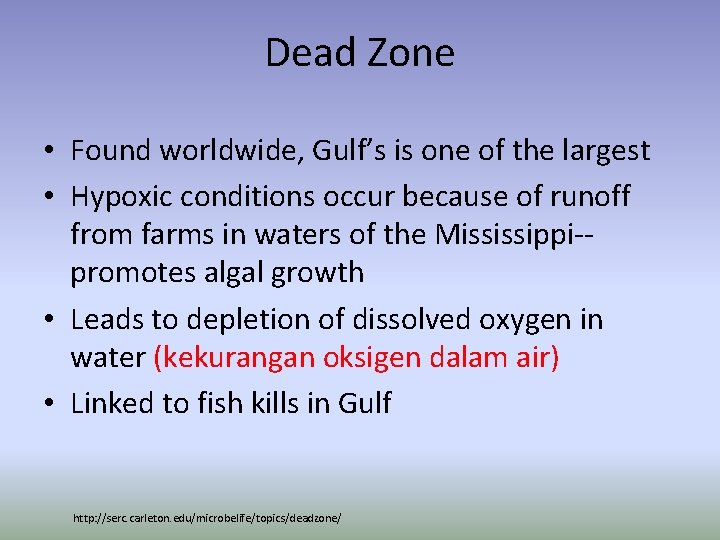 Dead Zone • Found worldwide, Gulf’s is one of the largest • Hypoxic conditions
