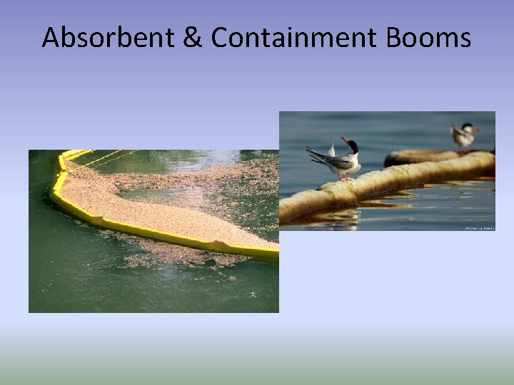 Absorbent & Containment Booms 