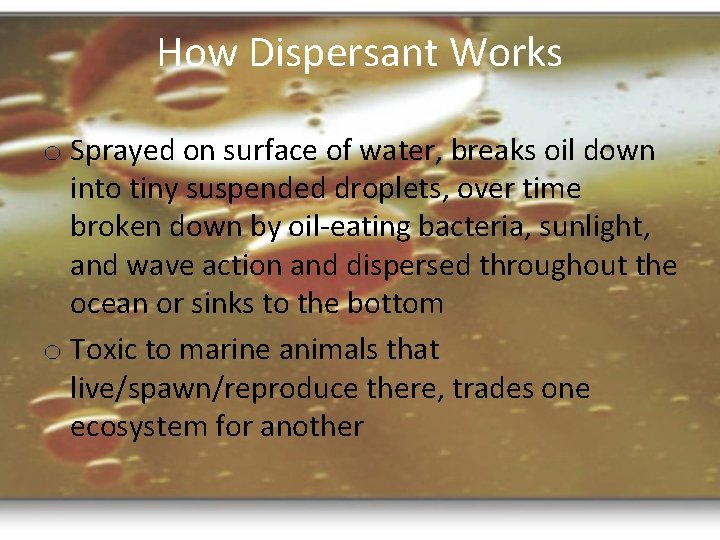 How Dispersant Works o Sprayed on surface of water, breaks oil down into tiny