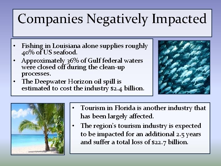 Companies Negatively Impacted • Fishing in Louisiana alone supplies roughly 40% of US seafood.