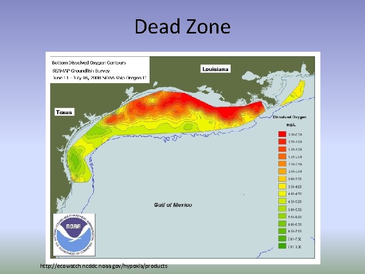 Dead Zone http: //ecowatch. ncddc. noaa. gov/hypoxia/products 