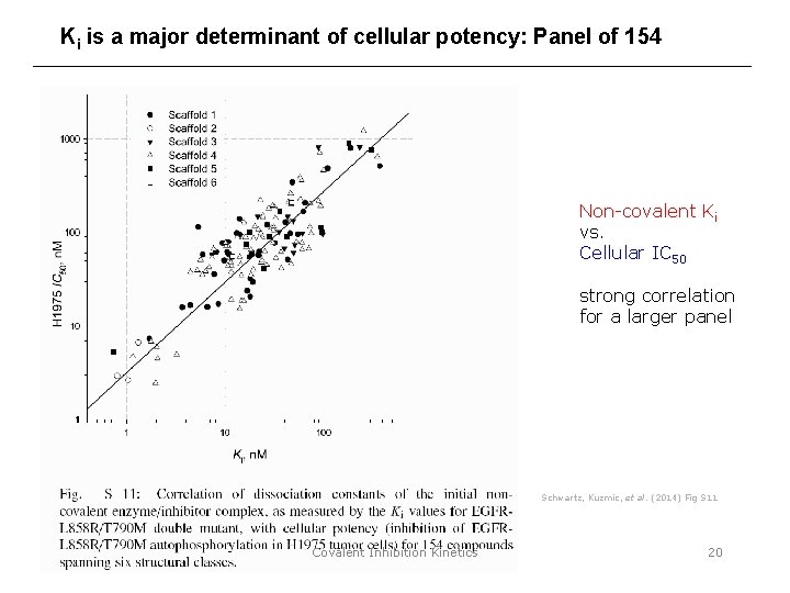 Ki is a major determinant of cellular potency: Panel of 154 Non-covalent Ki vs.