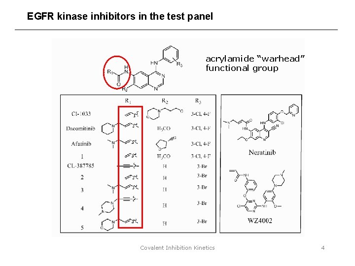 EGFR kinase inhibitors in the test panel acrylamide “warhead” functional group Covalent Inhibition Kinetics