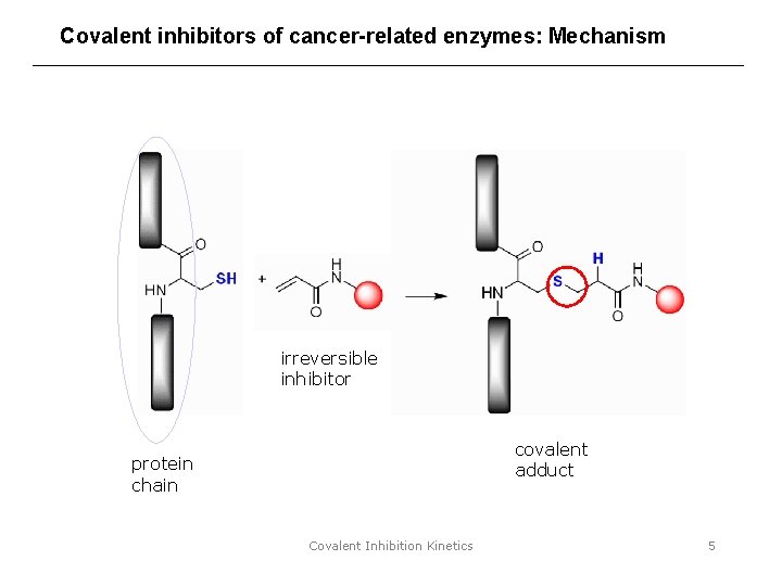 Covalent inhibitors of cancer-related enzymes: Mechanism irreversible inhibitor covalent adduct protein chain Covalent Inhibition