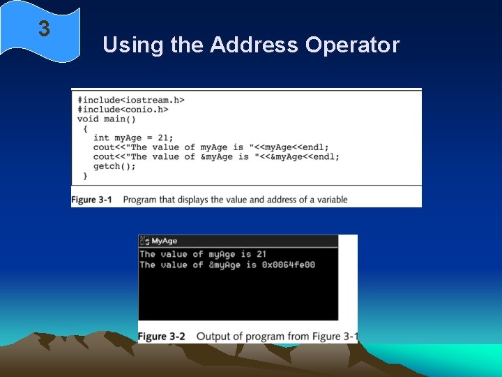 3 Using the Address Operator 