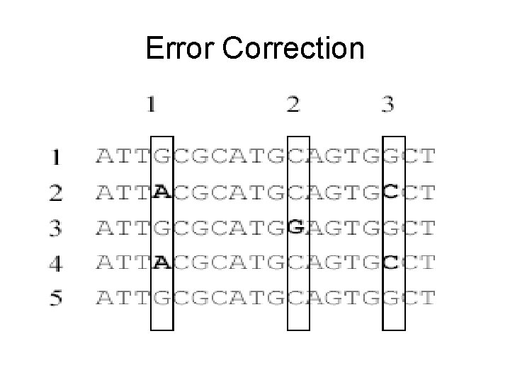 Error Correction 