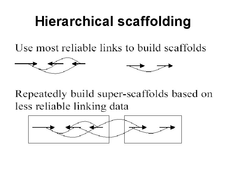 Hierarchical scaffolding 