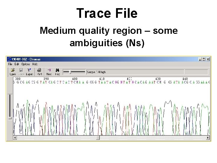 Trace File Medium quality region – some ambiguities (Ns) 