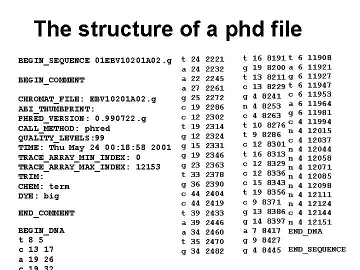 The structure of a phd file BEGIN_SEQUENCE 01 EBV 10201 A 02. g BEGIN_COMMENT