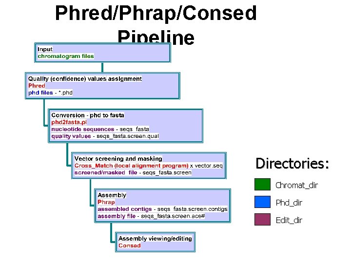 Phred/Phrap/Consed Pipeline Directories: Chromat_dir Phd_dir Edit_dir 