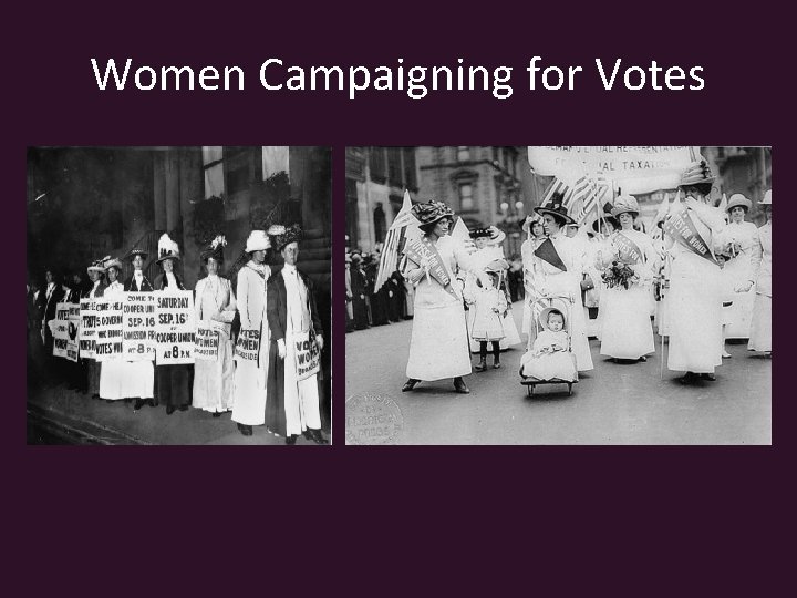 Women Campaigning for Votes 