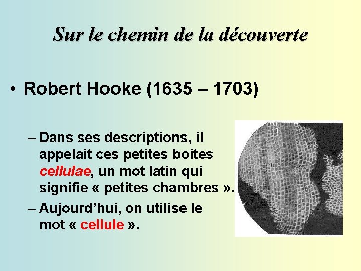 Sur le chemin de la découverte • Robert Hooke (1635 – 1703) – Dans