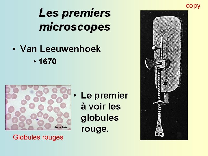 Les premiers microscopes • Van Leeuwenhoek • 1670 Globules rouges • Le premier à