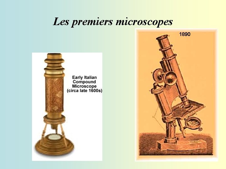 Les premiers microscopes 1890 