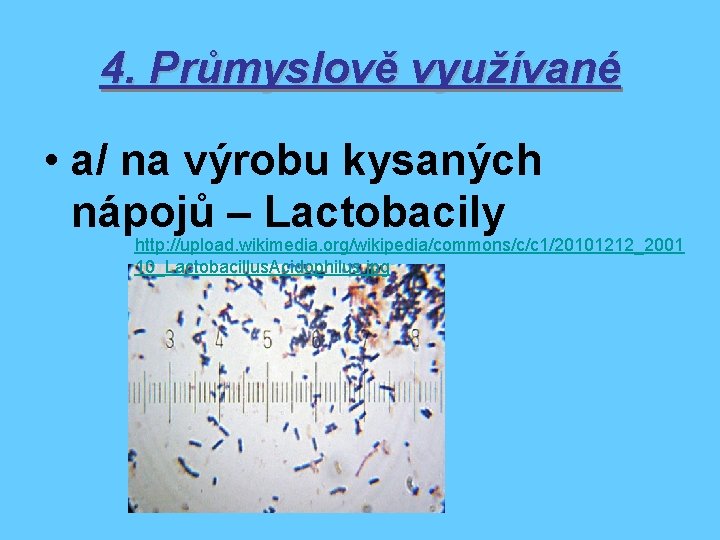 4. Průmyslově využívané • a/ na výrobu kysaných nápojů – Lactobacily http: //upload. wikimedia.