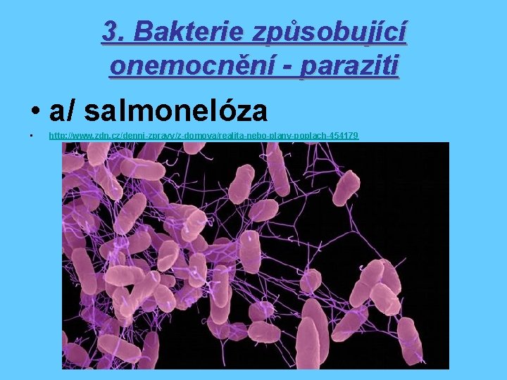 3. Bakterie způsobující onemocnění - paraziti • a/ salmonelóza • http: //www. zdn. cz/denni-zpravy/z-domova/realita-nebo-plany-poplach-454179