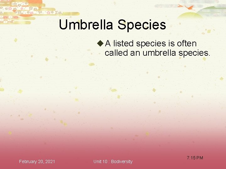 Umbrella Species u A listed species is often called an umbrella species. February 20,