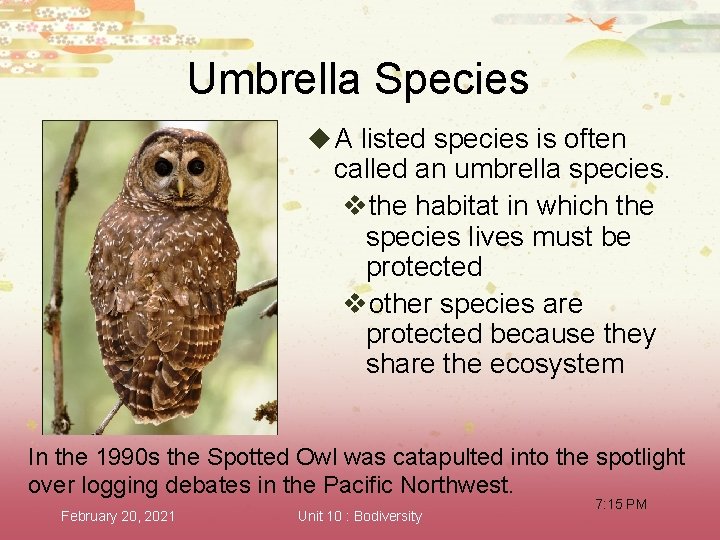 Umbrella Species u A listed species is often called an umbrella species. vthe habitat