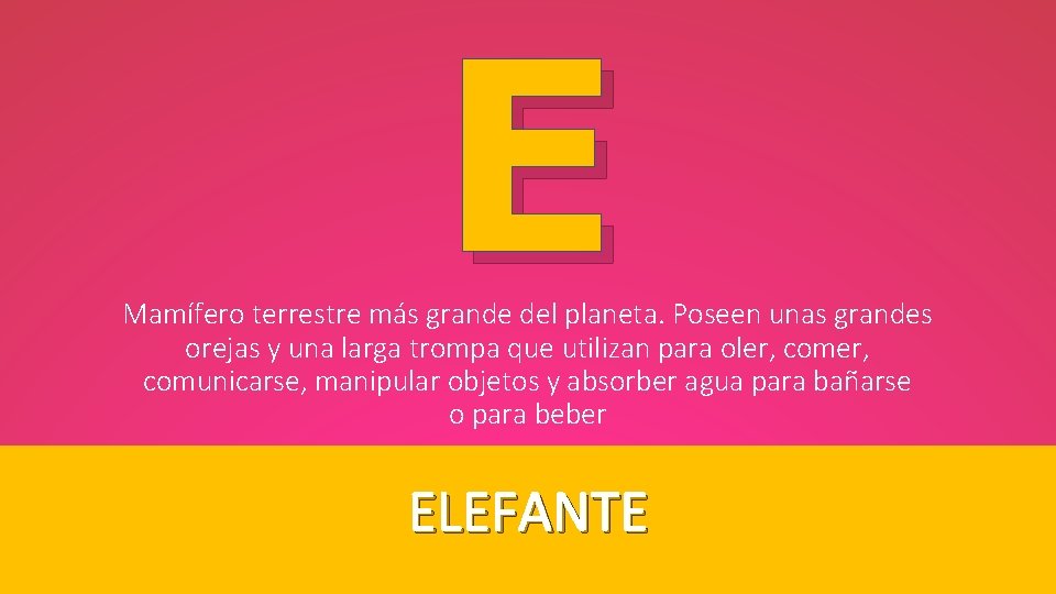 E Mamífero terrestre más grande del planeta. Poseen unas grandes orejas y una larga