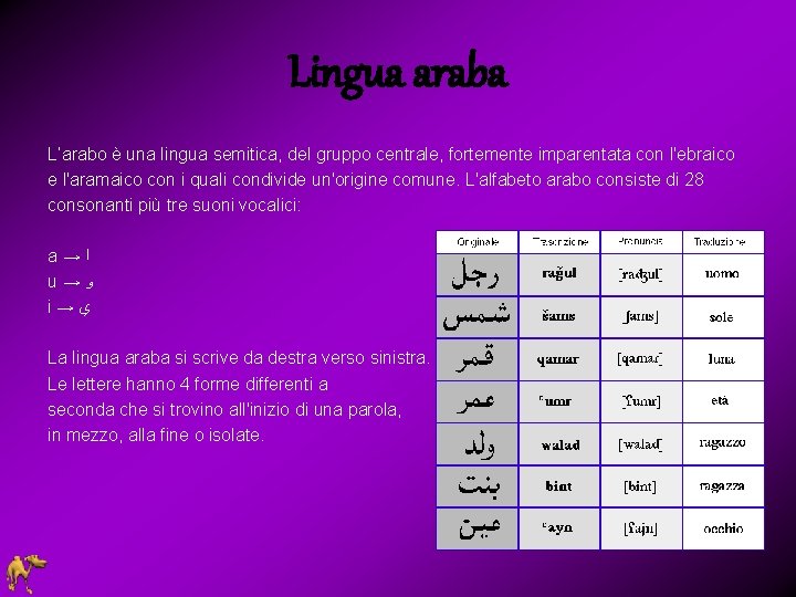 Lingua araba L’arabo è una lingua semitica, del gruppo centrale, fortemente imparentata con l'ebraico